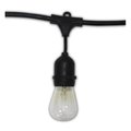 Aspen Brands Aspen Brands LS482418C 48 ft. 18 guage Suspended Commercial Grade Outdoor String Lights with Bulbs - Black & Clear LS482418C